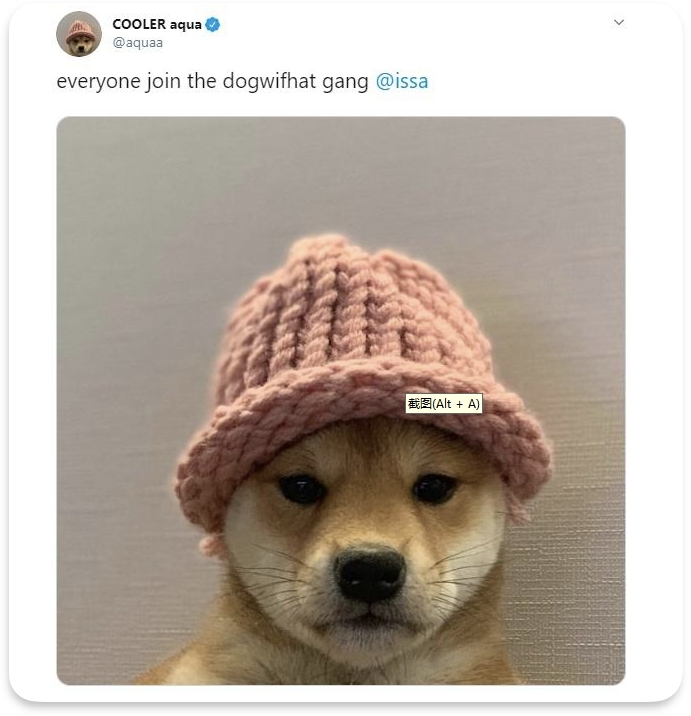 凝聚力活动_SOL币的用户参与活动:如何增强社区凝聚力与互动性_凝聚社区力量