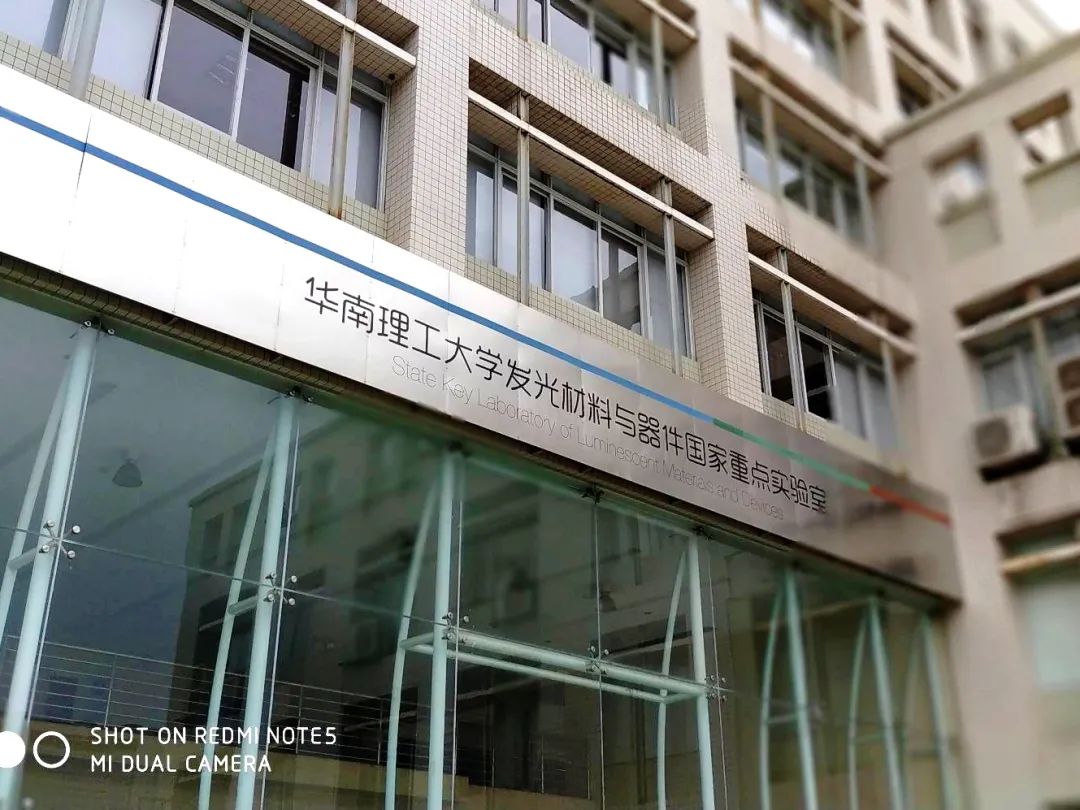 人才创新培养模式_创新人才培养方案怎么写_TP-LINK的创新文化:如何培养技术人才?