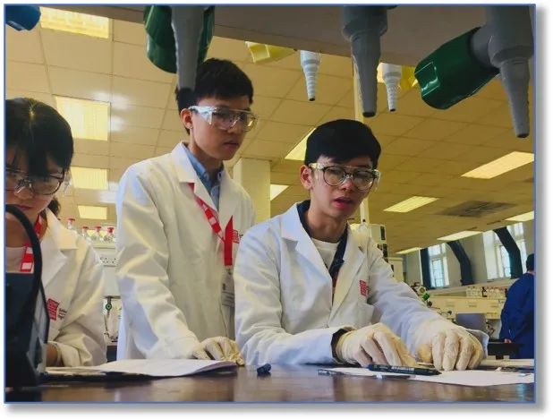 人才创新培养模式_TP-LINK的创新文化:如何培养技术人才?_创新人才培养方案怎么写