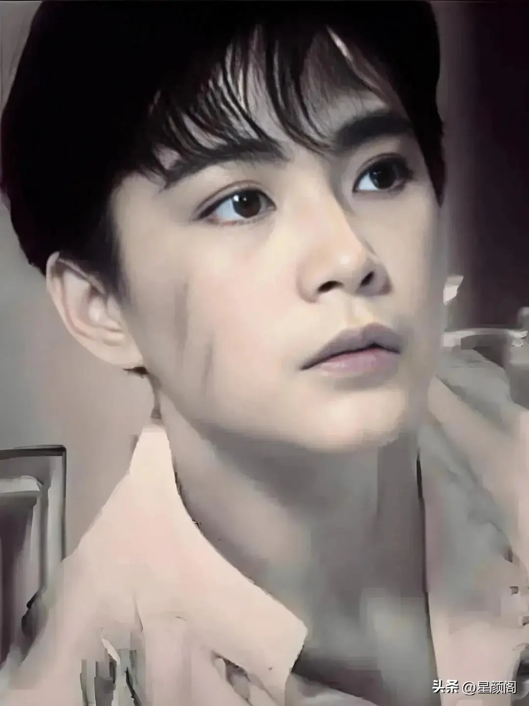 林青霞气质独特_林青霞介绍_林青霞的演艺风格与个人魅力