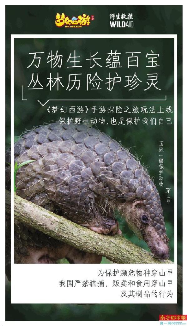 公益活动或社会实践活动_TPTP游戏在公益与社会责任中的实践_社会公益活动实践