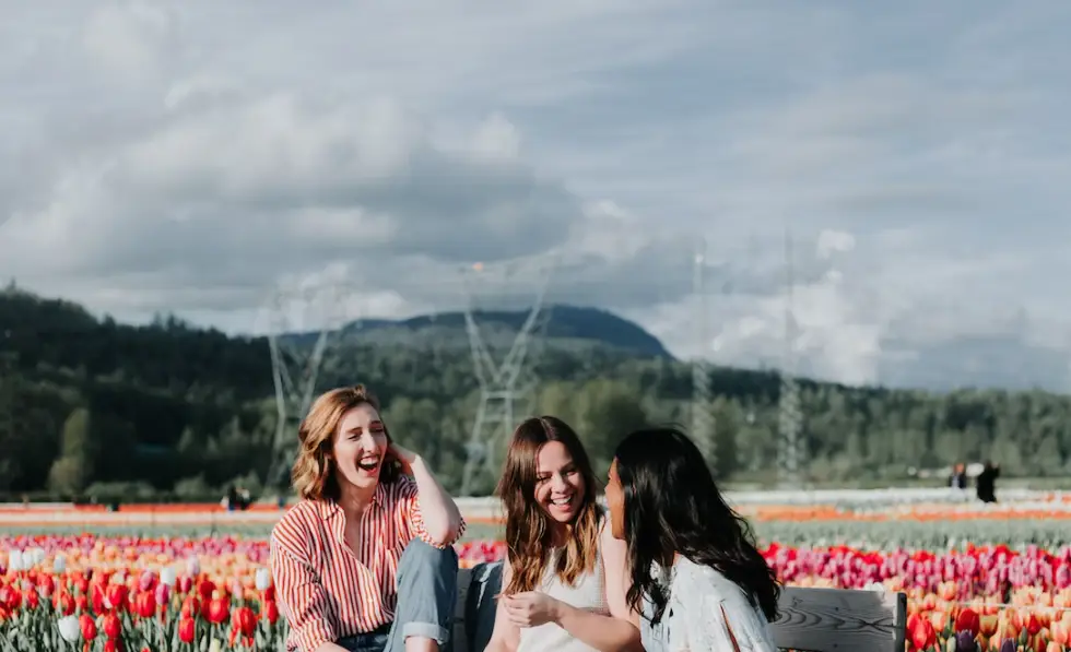 集成办公室装修效果图_集成办公系统_未来的办公环境:TP-LINK打造数字集成