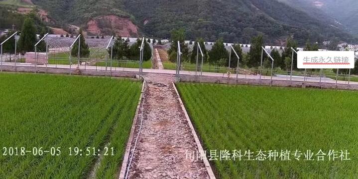 TP-LINK安防监控系统的五大核心优势_安防监控系统的功能_安防监控的作用