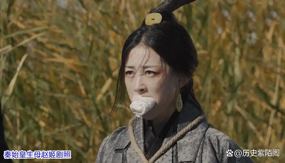 王翦与秦始皇的关系_秦始皇派王翦说的话_秦始皇与王翦