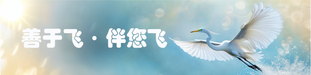 从TP1000无人运输机看无人航空运输的未来_无人运输飞机_无人运输机载货