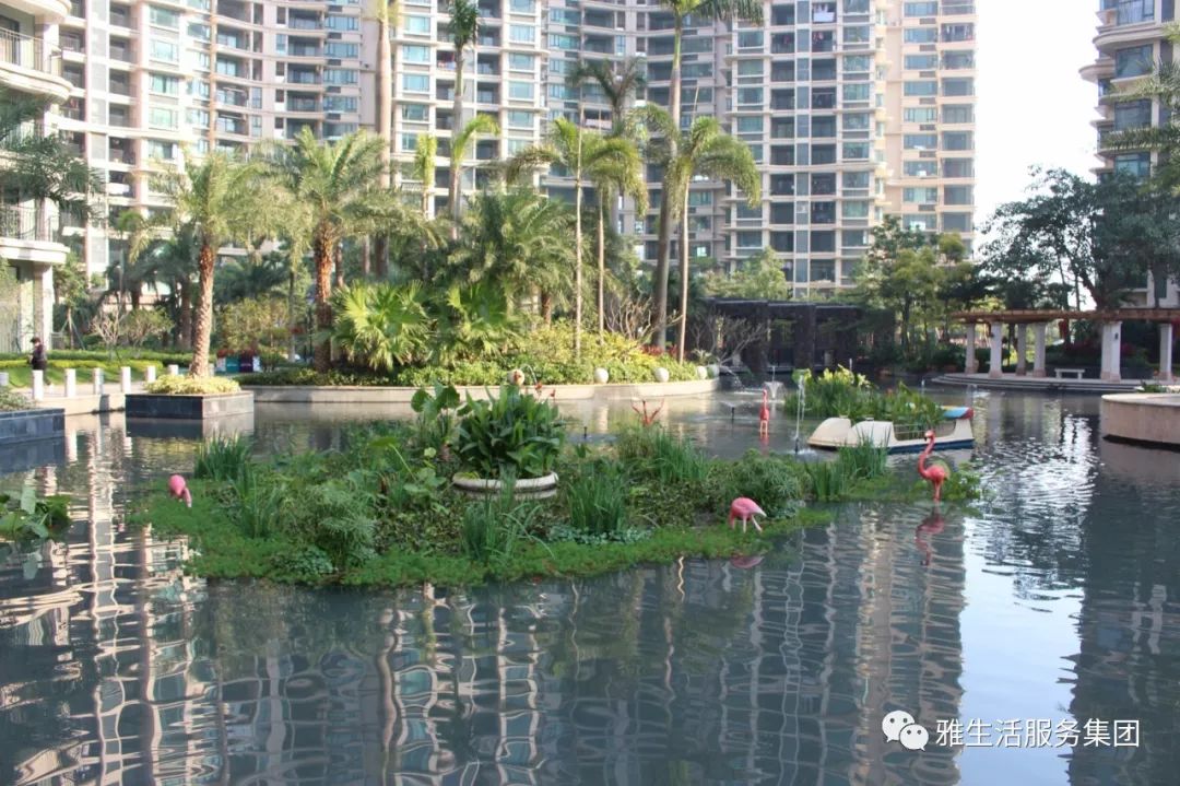 亮点_亮点纷呈_亮点茶楼