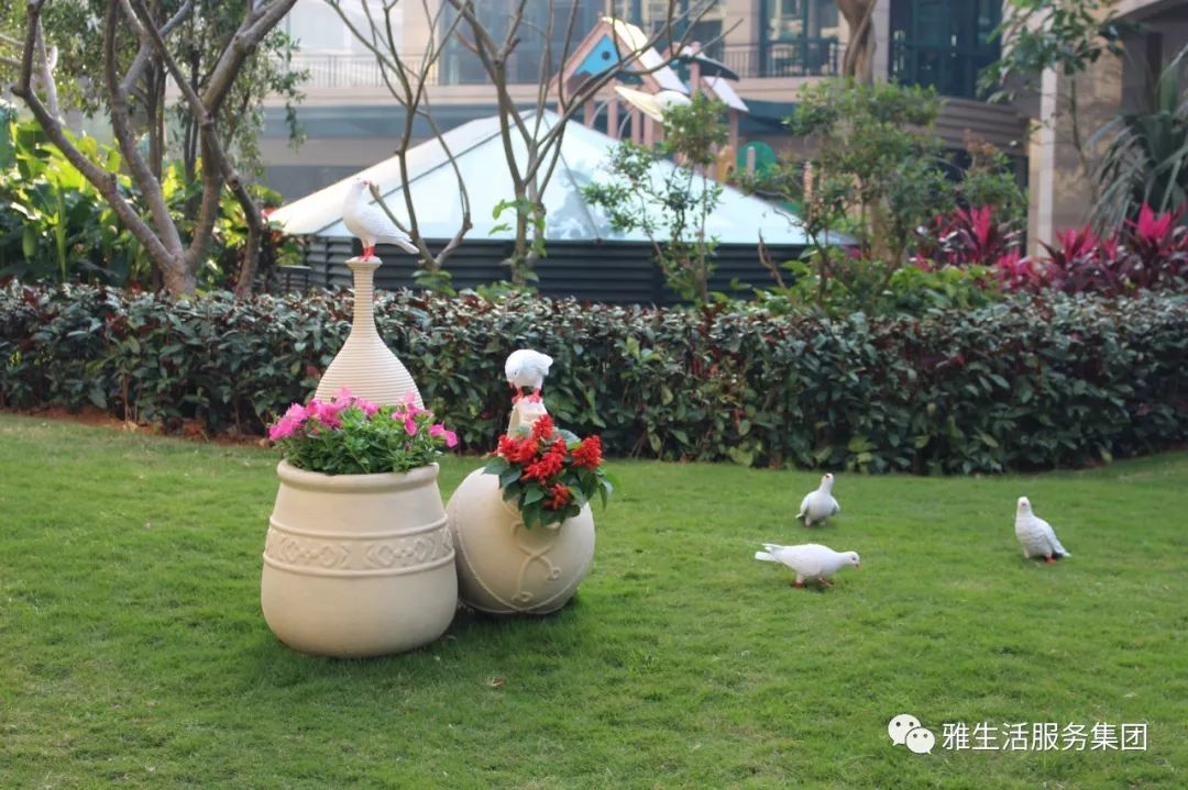 亮点_亮点茶楼_亮点纷呈