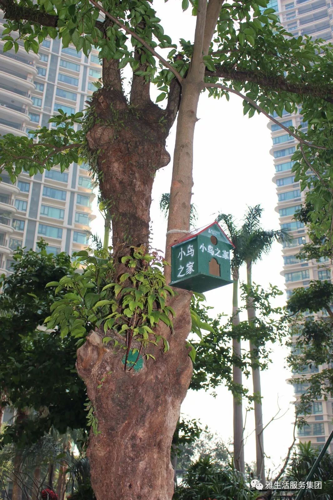 亮点茶楼_亮点_亮点纷呈