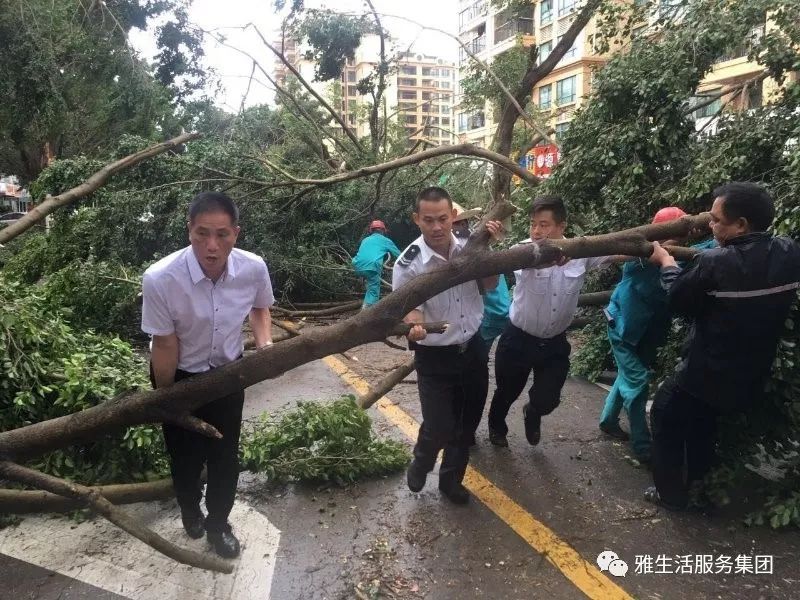 亮点茶楼_亮点_亮点纷呈