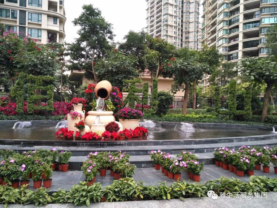 亮点_亮点纷呈_亮点茶楼