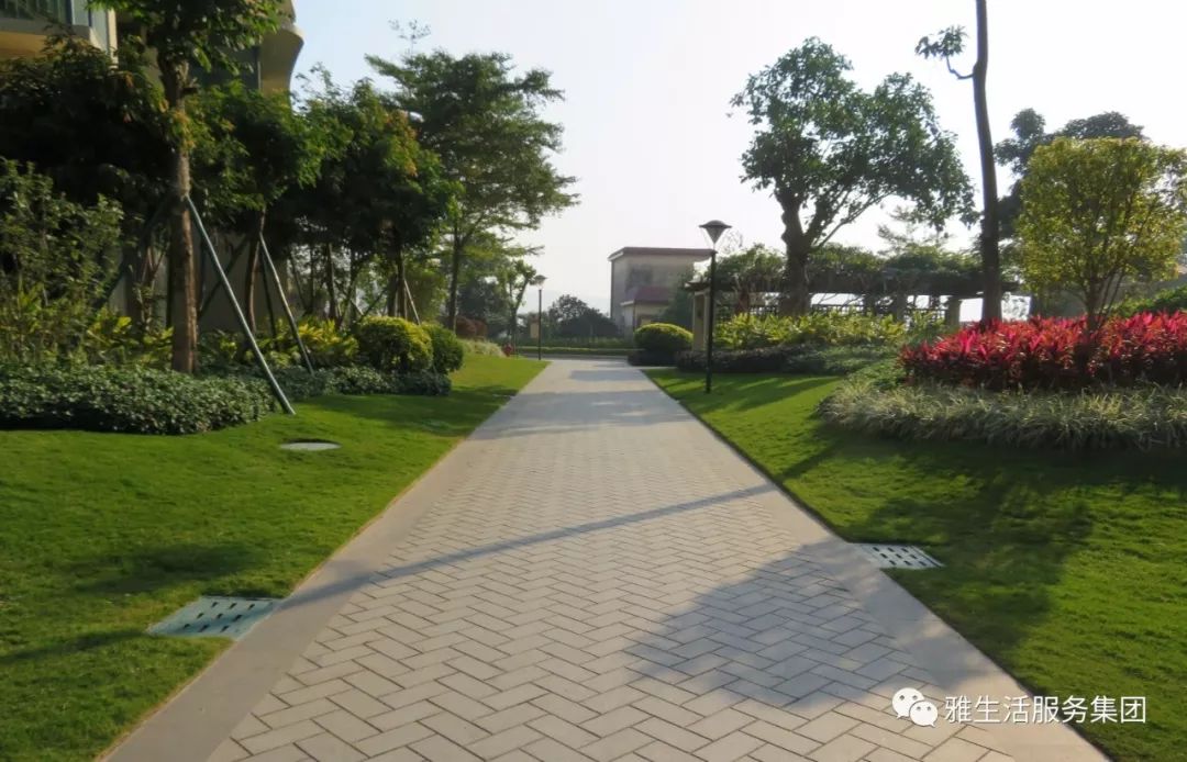 亮点_亮点纷呈_亮点茶楼