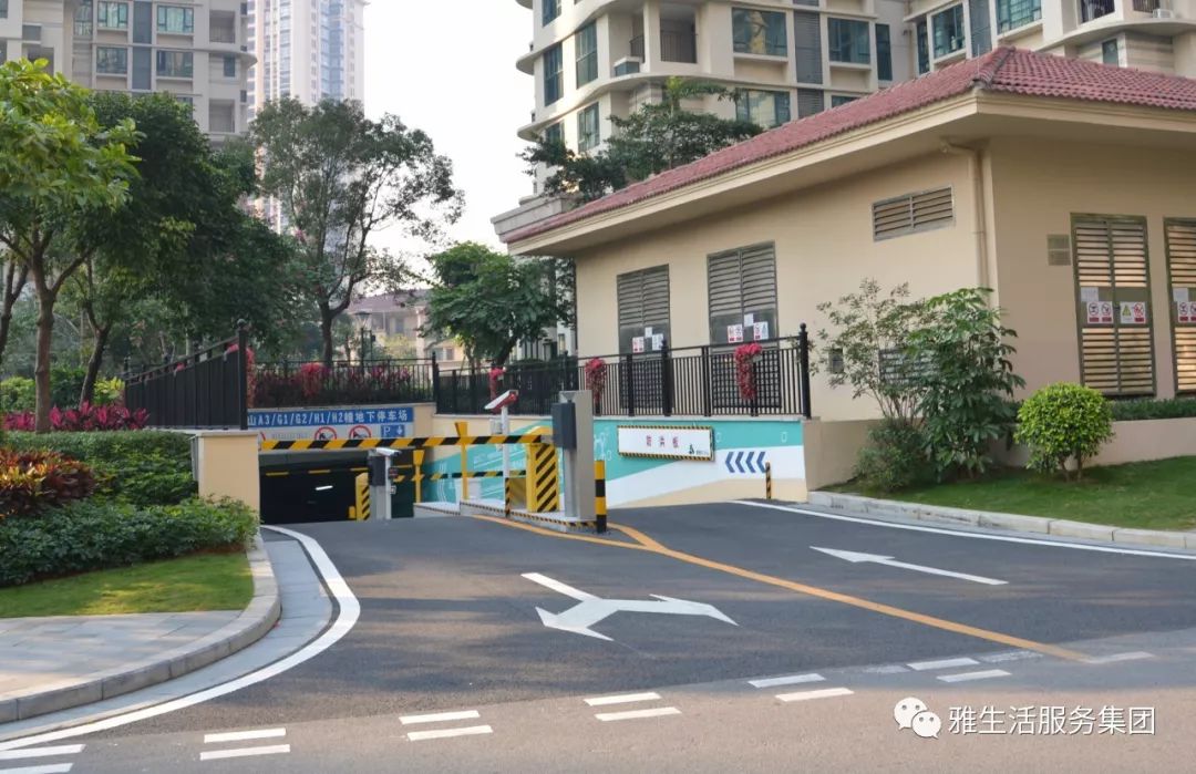 亮点_亮点茶楼_亮点纷呈