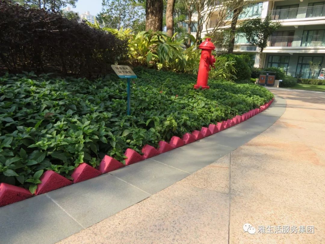 亮点茶楼_亮点_亮点纷呈