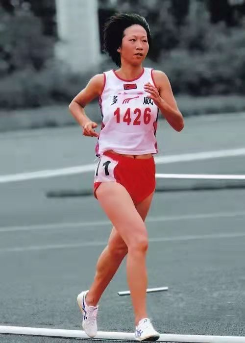 装备贡献率_TPU对运动装备性能提升的贡献_装备体系贡献率评估