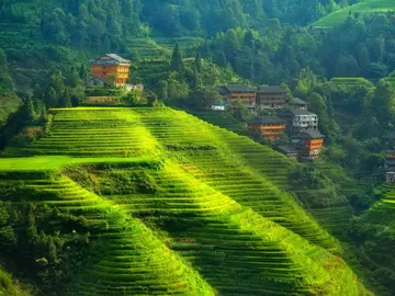 努力拼搏的青春作文(《挥洒青春》)