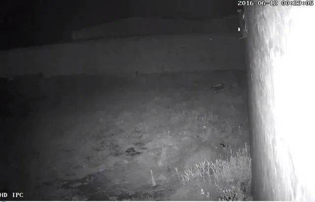 如何通过TP-Link监控共享你的摄像头视角_tp摄像头分享设备_tp监控分享