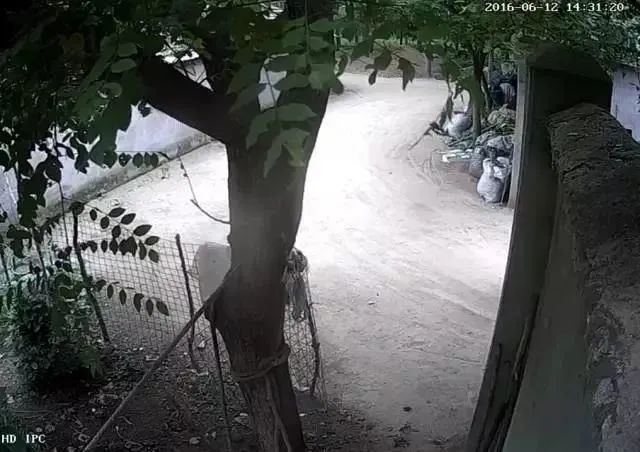 tp摄像头分享设备_如何通过TP-Link监控共享你的摄像头视角_tp监控分享