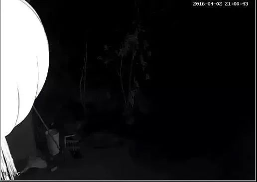 tp监控分享_如何通过TP-Link监控共享你的摄像头视角_tp摄像头分享设备