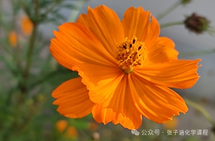 货币起源的核心思想_深入了解数字货币的起源与发展_货币起源说的具体内容