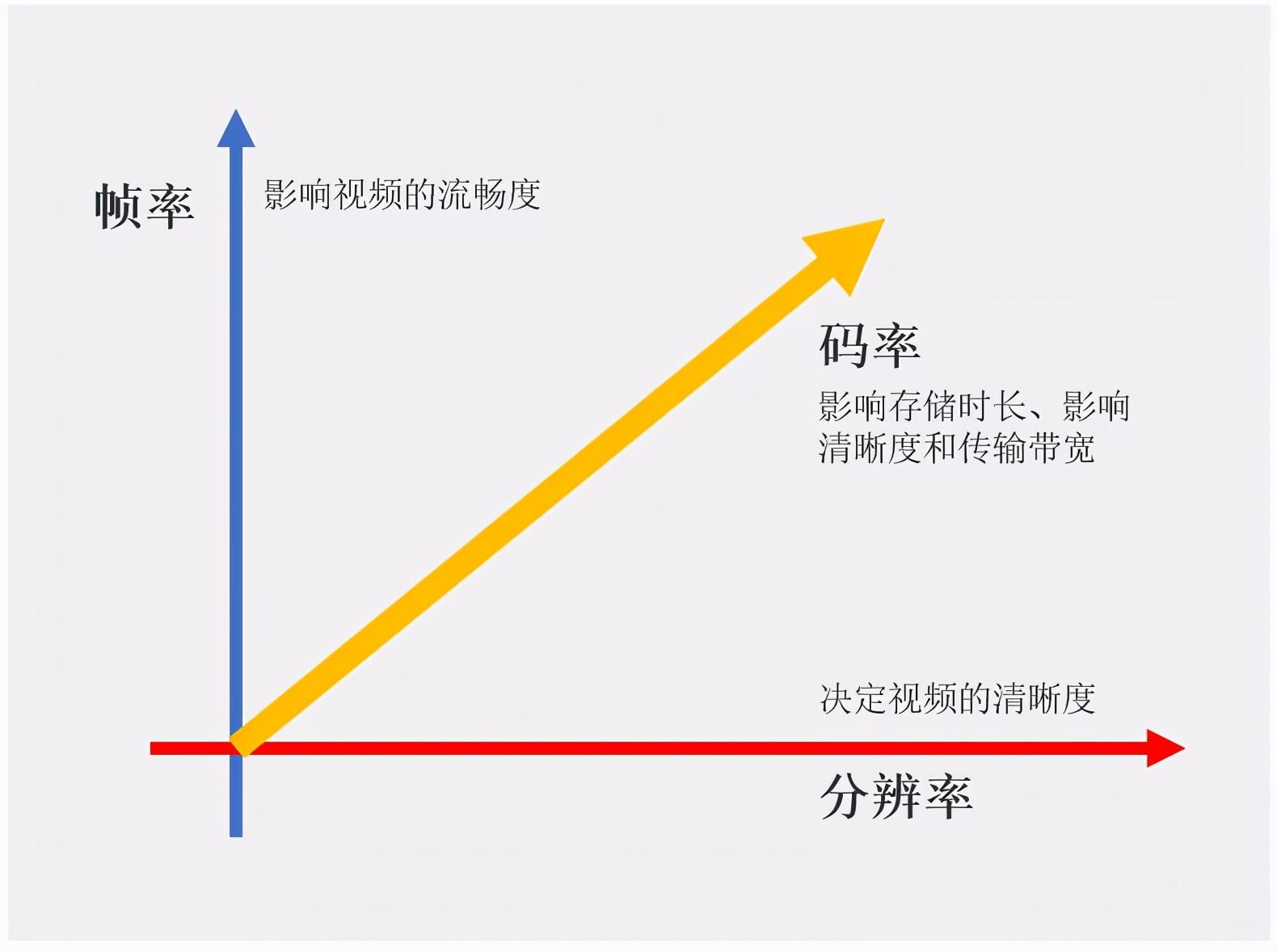 TP-Link摄像头大小对监控效果的影响分析_监控摄像头镜头大小有什么区别_摄像头很大