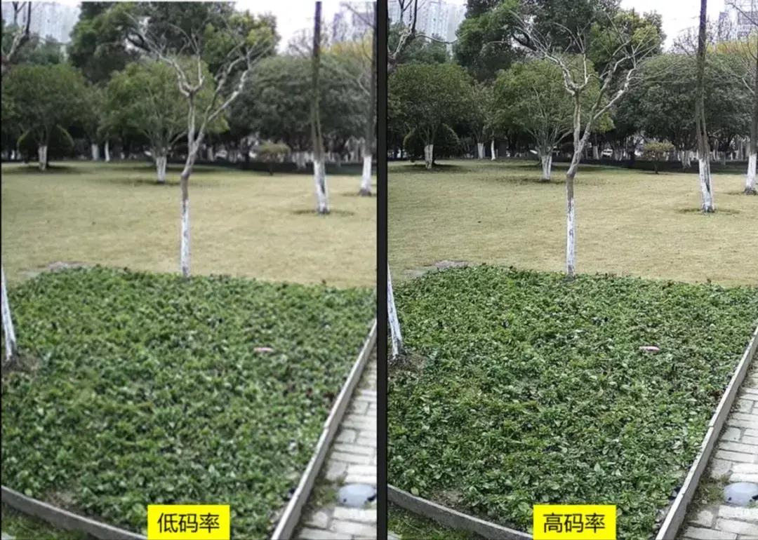 监控摄像头镜头大小有什么区别_TP-Link摄像头大小对监控效果的影响分析_摄像头很大