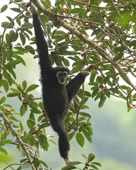 隐蔽摄像头长什么样_隐蔽式摄像头_TP-Link摄像头的隐蔽性与技术发展的关系